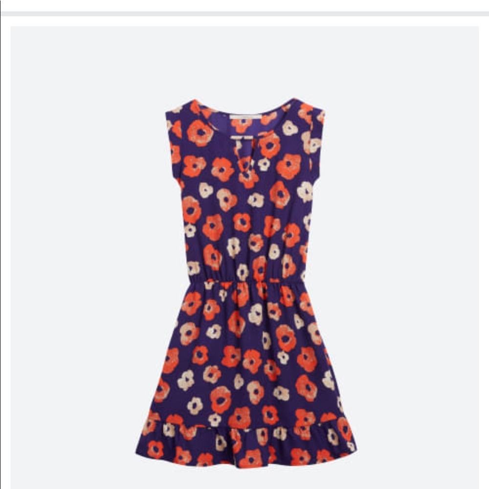 41 Hawthorn Rya Floral Dress